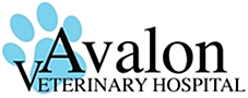 Avalon Veterinary Hospital